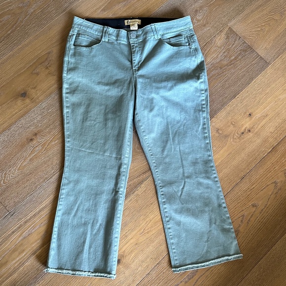 DEMOCRACY 'Ab'Solution Frayed Itty Bitty Flare Jeans - Picture 4 of 13